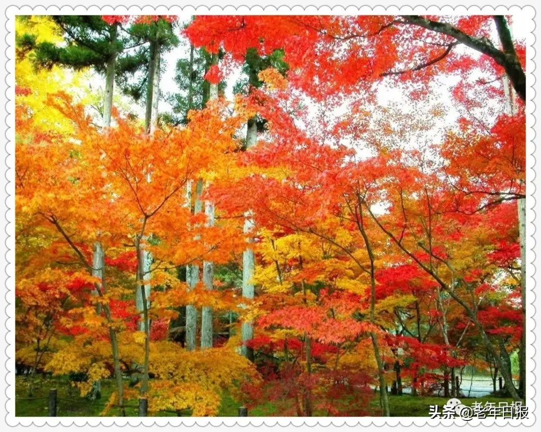 当今社会顺口溜，太绝了！句句大实话！